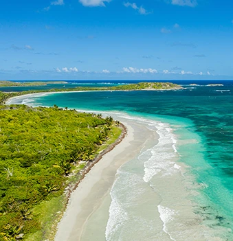 P.JULLIAN - S.LUCENA-SERRANO - G.BEAUREGARD à SCHOELCHER - MARTINIQUE